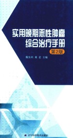 实用晚期恶性肿瘤综合治疗手册  第2版