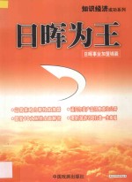 风云2006系列丛书  日晖为王