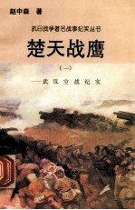 楚天<em>战鹰</em>：武汉空战纪实  1