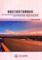 复杂应力状态<em>下</em>沥青混合料强度特性研究
