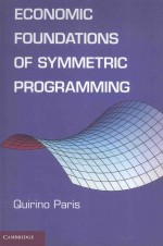 <em>ECONOMIC</em> FOUNDATIONS OF SYMMETRIC PROGRAMMING
