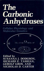 <em>The</em> Carbonic anhydrases cellular physiology and molecular <em>genetics</em>