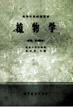 植物学  形态、解剖部分