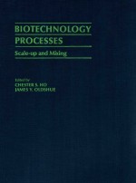Biotechnology processes scale-up <em>and</em> mixing