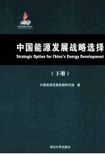 中国能源发展<em>战略</em>选择  下