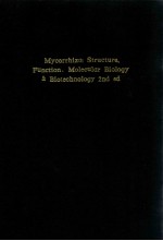 Mycorrhiz<em>a</em> :  structure