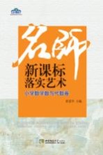 名师新课标落实艺术  小学数学数与代数卷