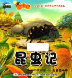 昆虫记  灵巧的纺织家  克鲁蜀蜘蛛