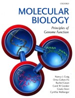 Molecular biology : <em>principles</em> of genome function
