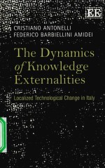 THE DYNAMICS <em>OF</em> KNOWLEDGE EXTERNALITIES LOCALIZED TECHNOLOGICAL CHANGE <em>IN</em> ITALY