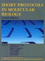 Short protocols in molecular biology : a compendium <em>of</em> <em>methods</em> from Current protocols in molecular b