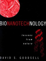 Bionanotechnology : lessons <em>from</em> nature