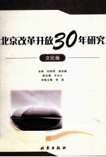 北京改革开放30年研究  文化卷