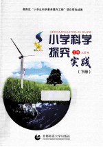 小学科学探究实践  下