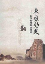 东岳劲风  山东检察好故事选