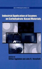 Industrial <em>Applicati<em>on</em></em> of Enzymes <em>on</em> Carbohydrate <em>Based</em> Materials