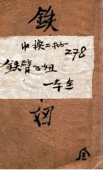铁臂飞妞  奇侠小说