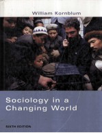 SOCIOLOGY <em>IN</em> A CHANG<em>IN</em>G <em>WORLD</em> SIXTH <em>EDITION</em>