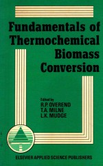 <em>Fundamentals</em> <em>of</em> thermochemical biomass conversion