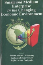 SMALL AND MEDIUM ENTERPRISE IN CHANGING <em>ECONOMIC</em> ENVIRONMENT