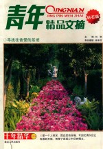 青年<em>精品</em>文摘  钻石版  寻找往昔爱<em>的</em>足迹