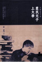 农民儿子上大学：中国高校小说