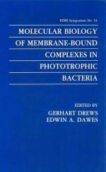 Molecular Biology <em>of</em> Membrane-Bound Complexes <em>in</em> Phototrophic Bacteria