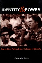 IDENTITY AND POWER:PUERTO RICAN POLITICS AND <em>THE</em> CHALLENGE OF ETHNICITY