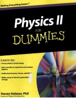 <em>Physics</em> II for Dummies