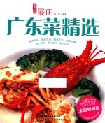 最正广东菜精选  全国畅销版