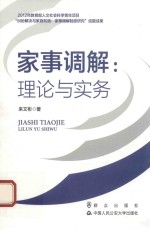家事调解  理论与实务