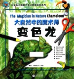 大自然中的<em>魔<em>术师</em></em>  变色龙