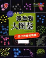 微生物大图鉴  微小神奇的病毒