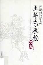 环境地理学家王华<em>东</em>教授文集  第2版