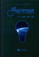 煤制天然气<em>技术</em>