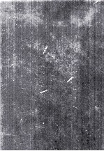 SYNCHRONIZTION A UNIVERSAL CONCEPT <em>IN</em> NONL<em>IN</em>EAR SCIENCES