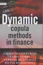 Dynamic Copula <em>Methods</em> in Finance
