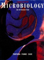 Microbiology : <em>a</em>n <em>introduction</em> fourth <em>edition</em>