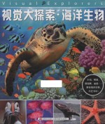 视觉大探索  海洋生物