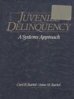 Juvenile delinquency  a systems app<em>ro</em>ach
