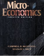 MIC<em>R</em>O-ECONOMICS:P<em>R</em>INCIPLES