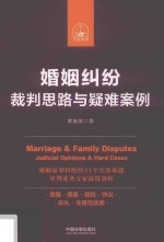 婚姻纠纷  裁判思路与疑难案例  2018版
