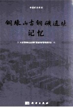 铜绿<em>山</em>古铜矿遗址出现40周年记忆录