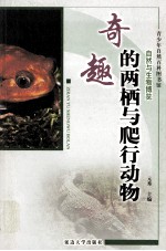 奇趣的两栖与爬行动物  修订版