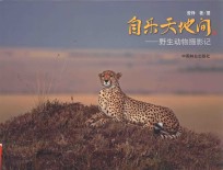 自乐天地间  野生<em>动物</em>摄影<em>记</em>