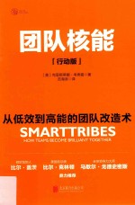 团队核能  从低效到高能的团队改造术  行动版