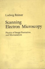 SCANNING ELECTRON <em>MICROSCOPY</em>