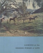 LOOKING AT THE HIGHER FORMS <em>OF</em> LIFE