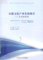 安徽文化产业发展报告  文化旅游篇2016