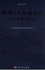 铜绿<em>山</em>古铜矿遗址考古发现与研究  下